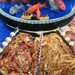 XINHAILI SEAFOOD RESTAURANT User Photo