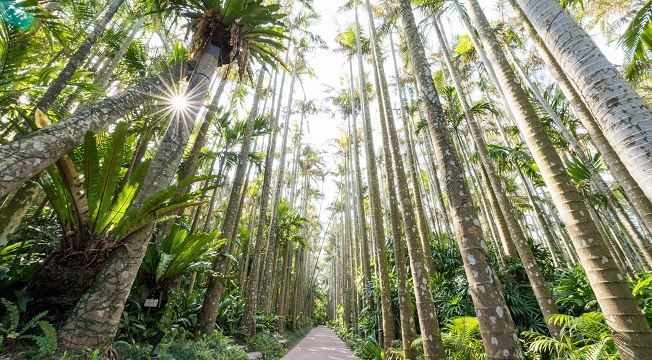 Southeast Botanical Gardens