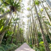 自然及野生動物