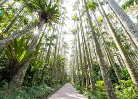 美らヤシパークオキナワ・東南植物楽園