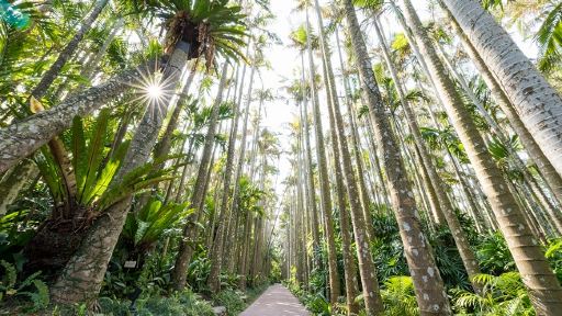 東南植物樂園日場門票小童票 東南植物樂園日場門票小童票