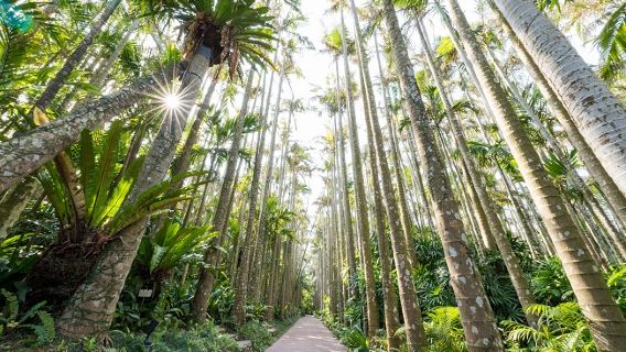 Southeast Botanical Gardens