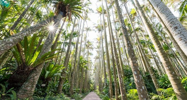 Southeast Botanical Gardens