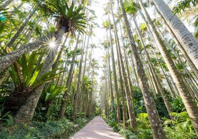 Parque Chura Yashi Okinawa / Jardines Botánicos del Sudeste