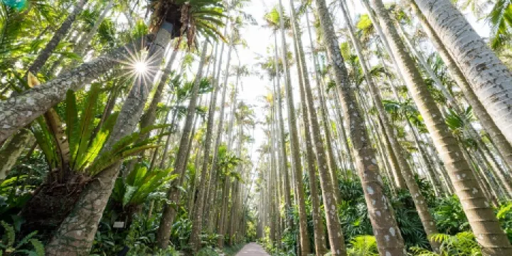 東南植物樂園