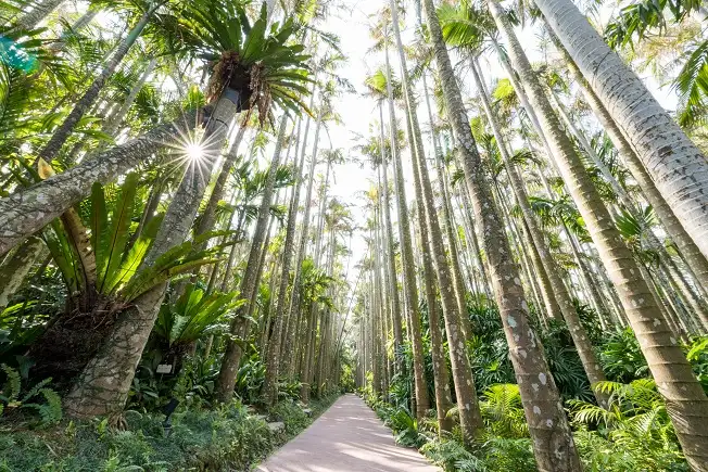 1_東南植物樂園
