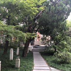 The Pine User Photo
