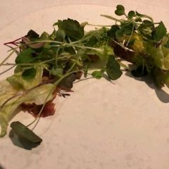 Pied a Terre User Photo