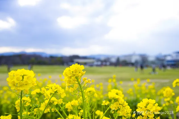 花渓公園周辺のホテル