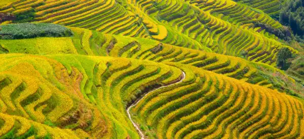 Echarm-boenden i Guilin