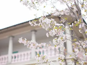 Kyusakuranomiya Kokaido