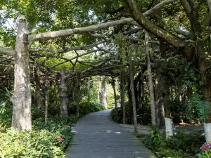 廣西藥用植物園