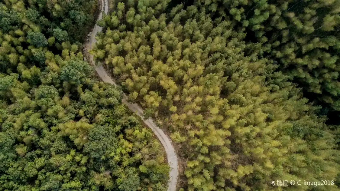 Hotels in der Nähe von Nankunshan National Forest Park