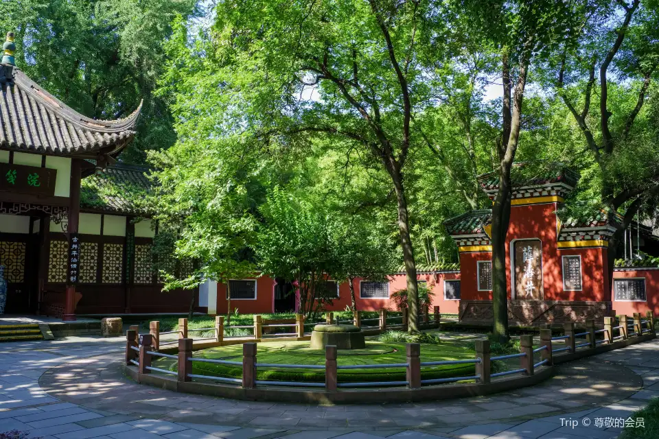xuetaojing