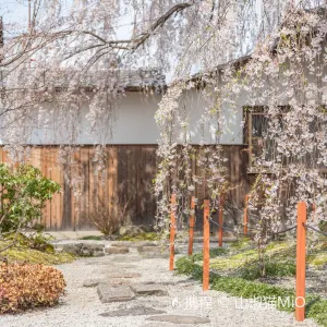 本満寺