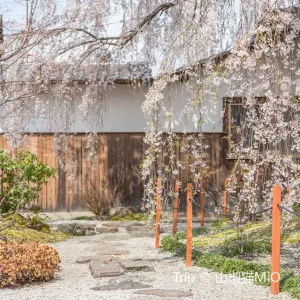 本満寺