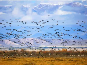 Zhaosu Wetland Park Scenic Area