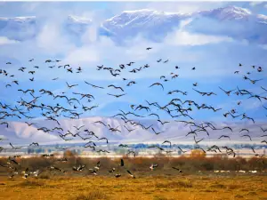 Zhaosu Wetland Park Sceneic Area