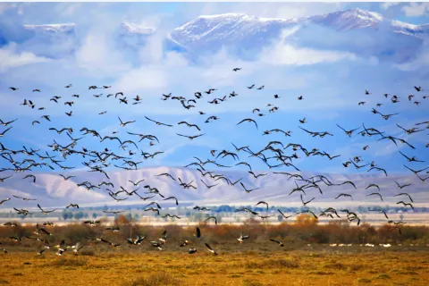 Zhaosu Wetland Park Scenic Area