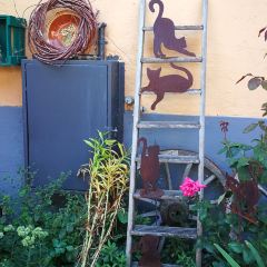 Gasthaus Zum Adler User Photo