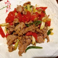 Yun Qin User Photo
