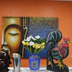 Mr Soy Boy User Photo