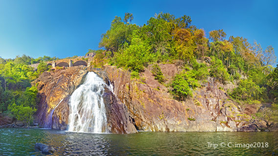 Mollem National Park & Bhagwan Mahavir Wildlife Sanctuary