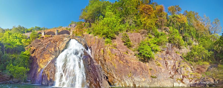 Mollem National Park & Bhagwan Mahavir Wildlife Sanctuary