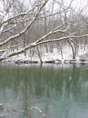 Watauga River