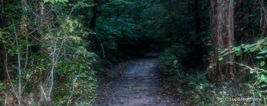 Jack Rabbit Road