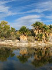 Agua Caliente County Park