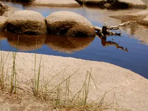 Joshua Tree Lake RV & Campground