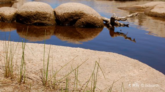 Joshua Tree Lake RV & Campground