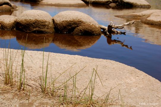 Joshua Tree Lake RV & Campground