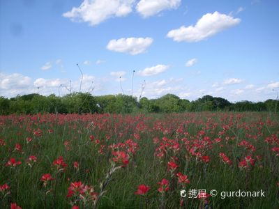 Erwin Park
