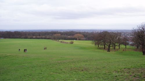 Shooters Hill Rd