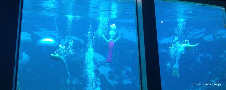 Weeki Wachee Springs State Park