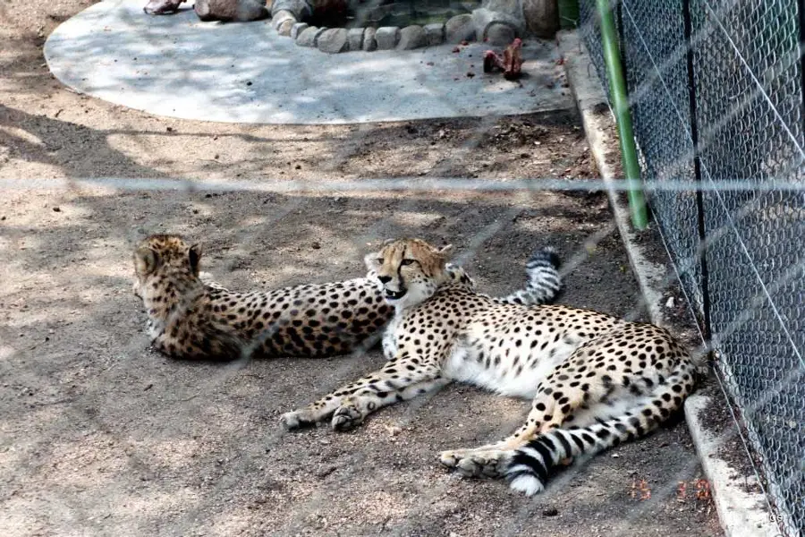 Hoedspruit Endangered Species Centre