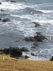 Playa de la Atalaya