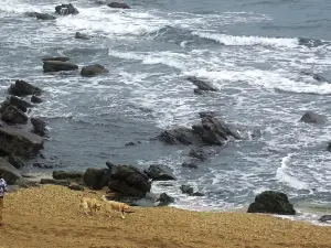 Playa de la Atalaya