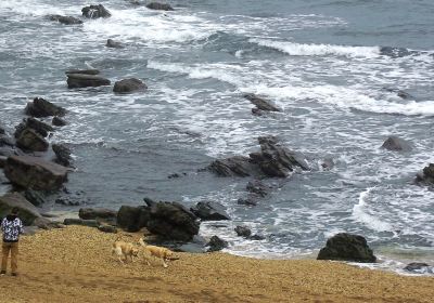 Playa de L' Atalaya