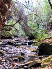 Big South Fork National River and Recreation Area