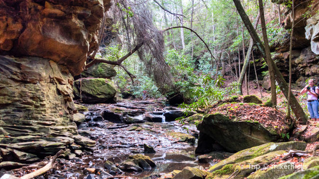 Big South Fork National River and Recreation Area