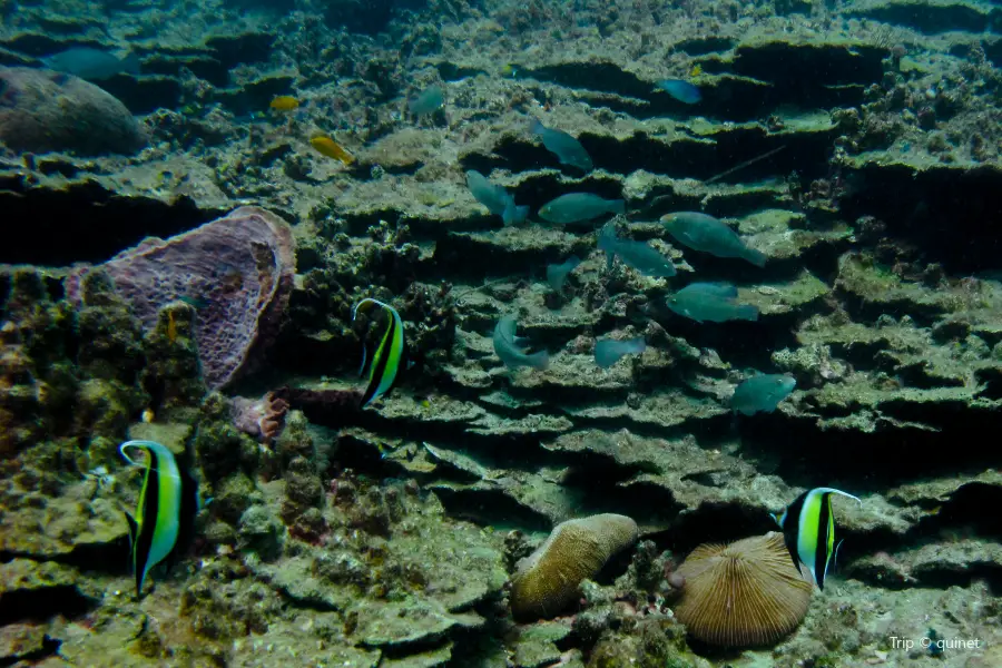 Poseidon Dive Center