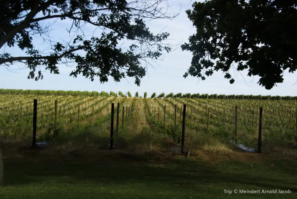 5_Groot Constantia