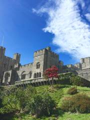 National Trust - Penrhyn Castle & Garden