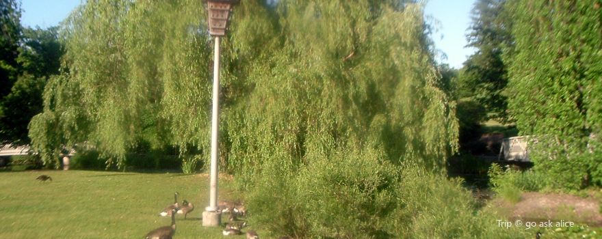WaterWorks Park