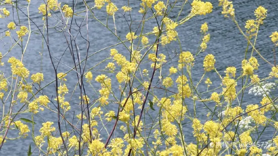 Lakes Regional Park