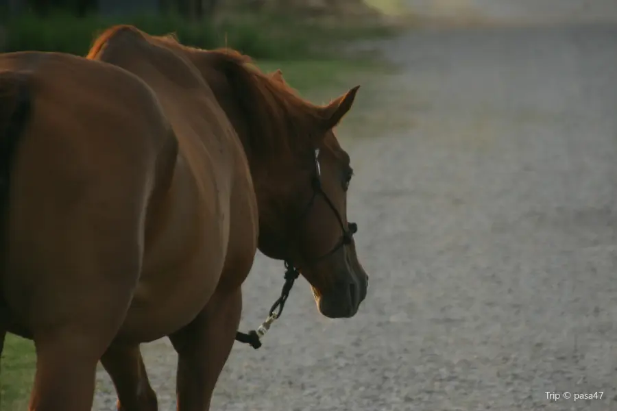 Fly Spur Ranch