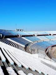 Estadio Libertadores de America